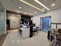 Ct Hub (D12), Factory #498010781